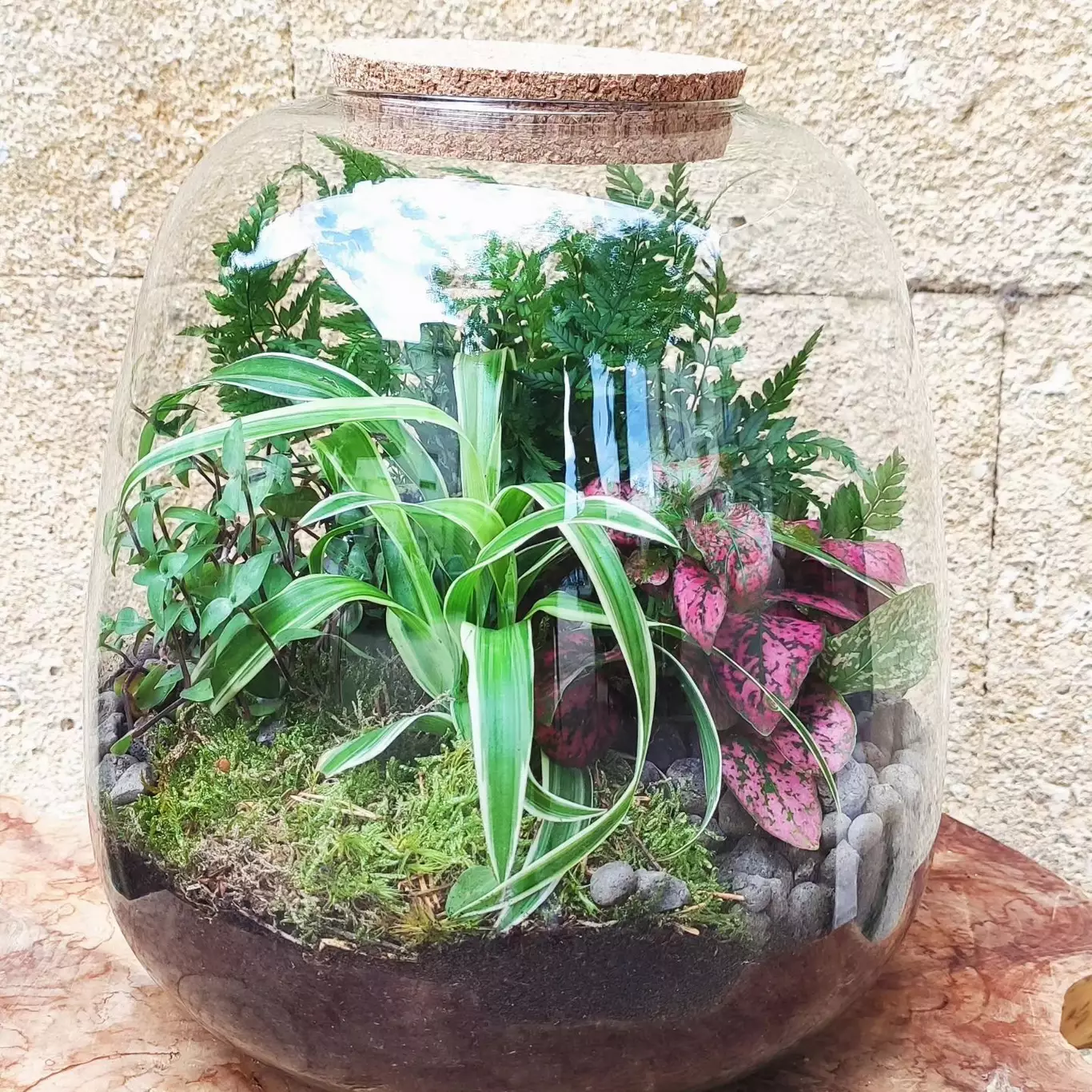 terranium Compositions florales sur-mesure à Remoulins (30)